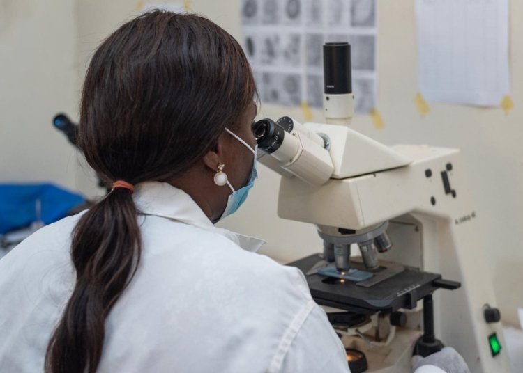 Urgent Call for Action to Combat Antimicrobial Resistance in Africa