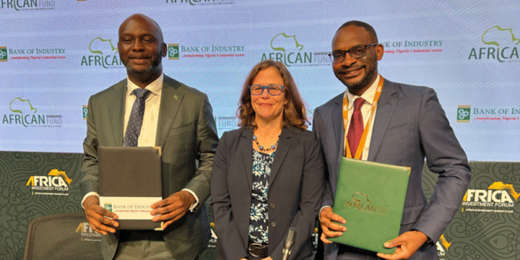 $50 Million Financing Deal Targets Women-led Enterprises in Nigeria