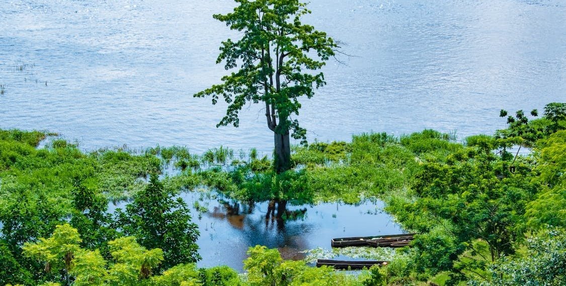 DR Congo Explores Debt-for-Nature Swaps to Address Climate Change