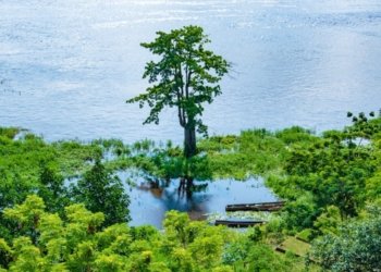 DR Congo Explores Debt-for-Nature Swaps to Address Climate Change