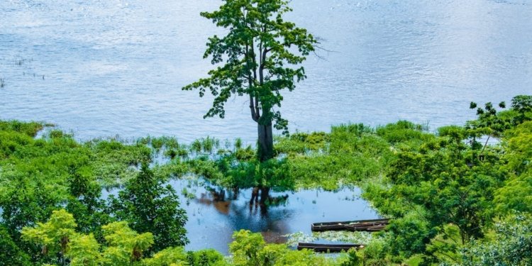 DR Congo Explores Debt-for-Nature Swaps to Address Climate Change