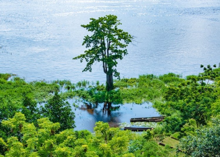 DR Congo Explores Debt-for-Nature Swaps to Address Climate Change