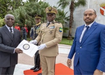 Gabon: l’État Reprend le Contrôle de la Société Nationale des Bois du Gabon (SNBG)