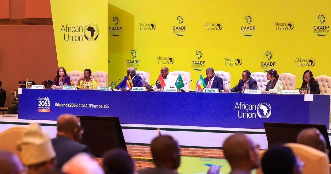 Africa Moves Toward Food Security with New Agricultural Strategy