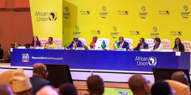 Africa Moves Toward Food Security with New Agricultural Strategy