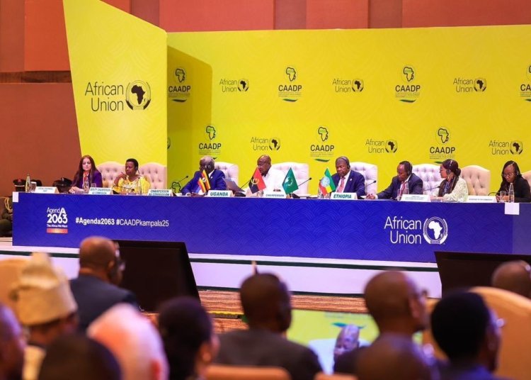 Africa Moves Toward Food Security with New Agricultural Strategy