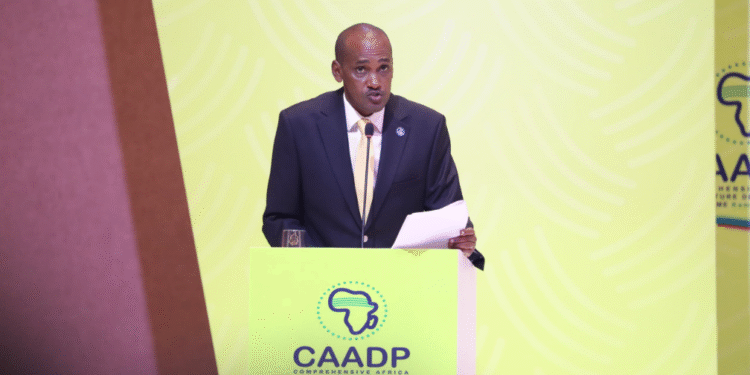 2025: A Defining Year for Africa’s Agricultural Sector