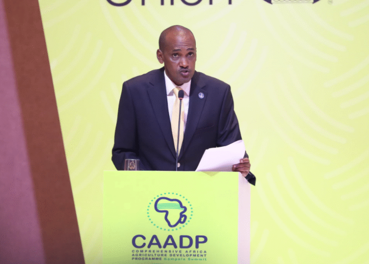 2025: A Defining Year for Africa’s Agricultural Sector