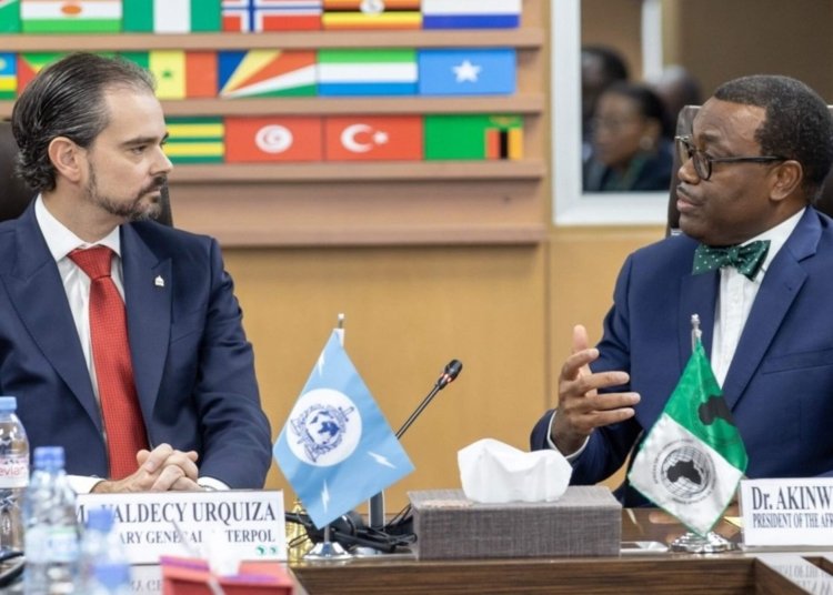 African Dev’t Bank Partners with Interpol to Tackle Financial Crime in Africa