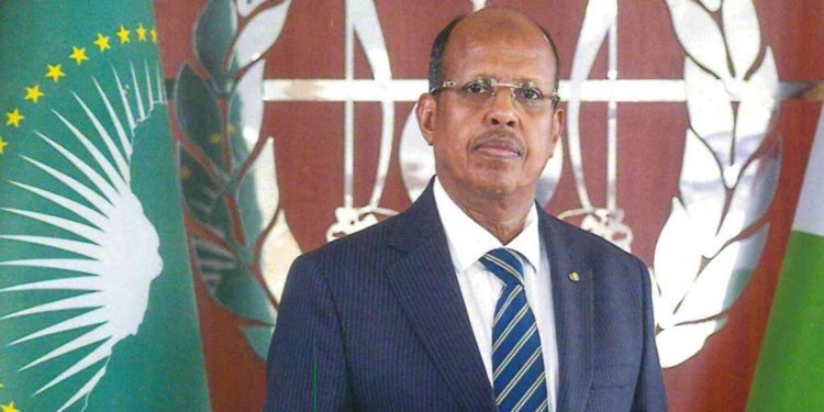 Djibouti’s Mahamoud Ali Youssouf Elected African Union Commission Chair