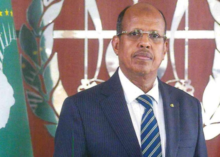 Djibouti’s Mahamoud Ali Youssouf Elected African Union Commission Chair