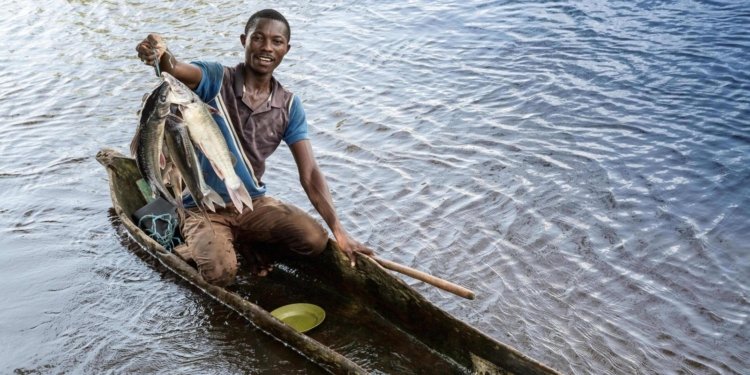 AU Urges Policy Innovation for Sustainable Fisheries in Africa