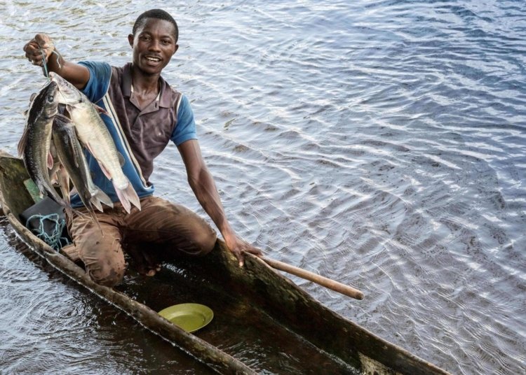 AU Urges Policy Innovation for Sustainable Fisheries in Africa