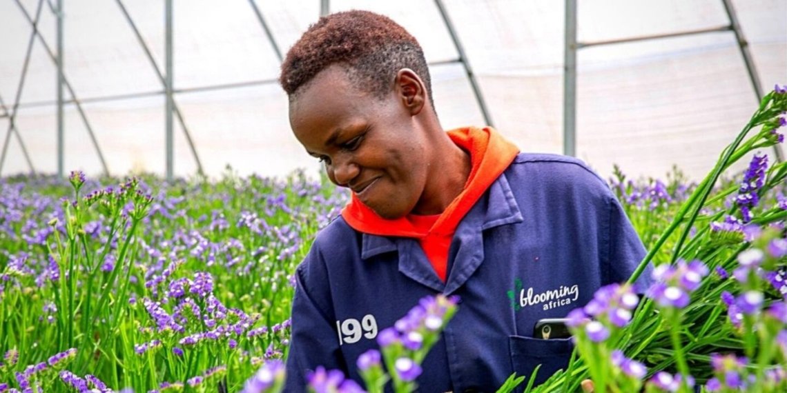 Kenya, Ethiopia Emerge as Key Players in Global Flower Trade