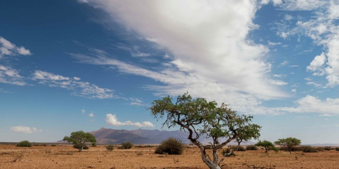 L’Afrique met en place un mécanisme de coopération pour l’adaptation climatique