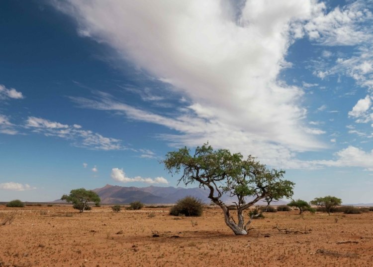 L’Afrique met en place un mécanisme de coopération pour l’adaptation climatique