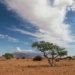 L’Afrique met en place un mécanisme de coopération pour l’adaptation climatique