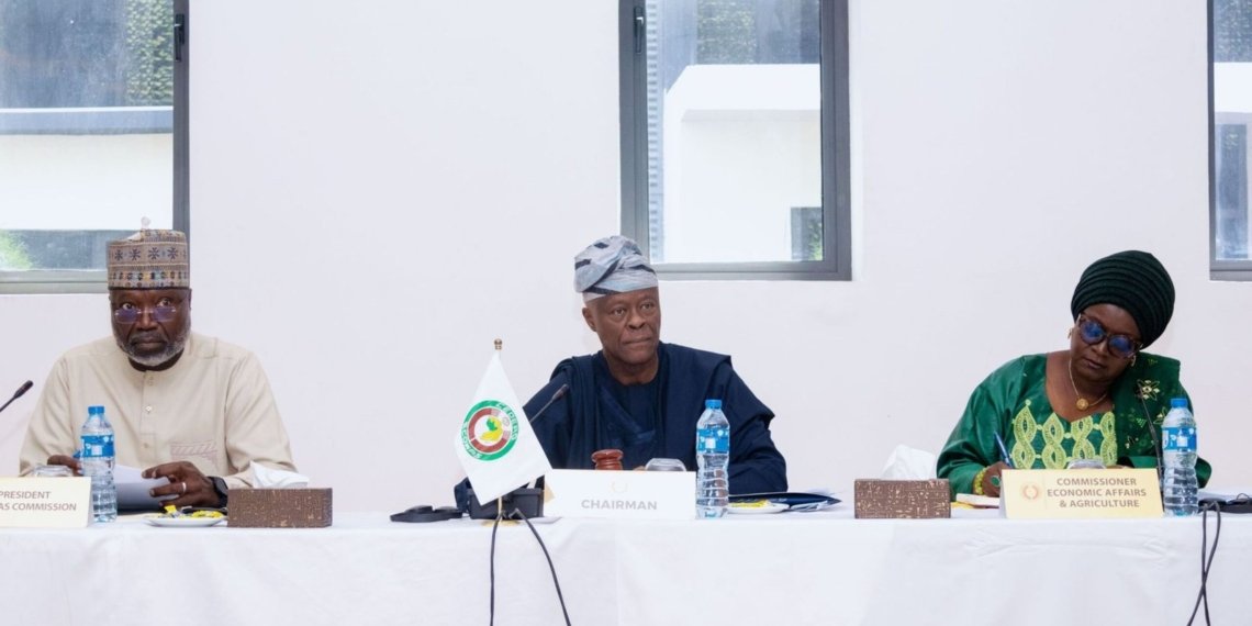 La CEDEAO accélère la mise en place de sa monnaie unique, l’« Eco »