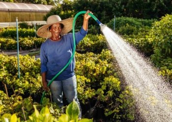 Africa’s Water Towers Under Threat as the Globe Marks World Water Day