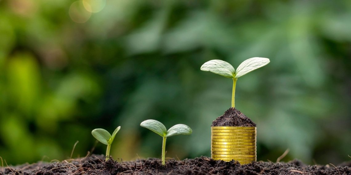 Nigeria’s Private Sector Launches Investment Fund to Boost Agriculture