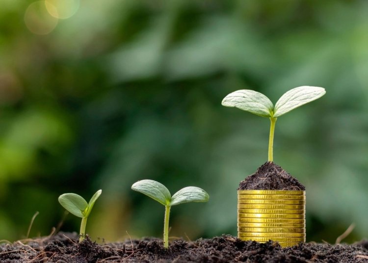 Nigeria’s Private Sector Launches Investment Fund to Boost Agriculture