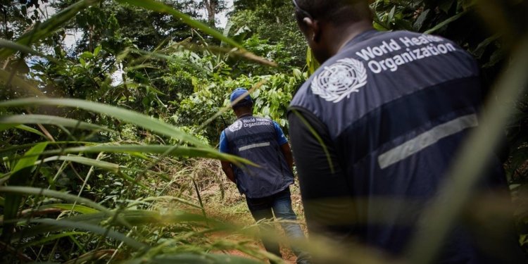 La RDC enquête sur une flambée de maladies dans la province de l’Équateur