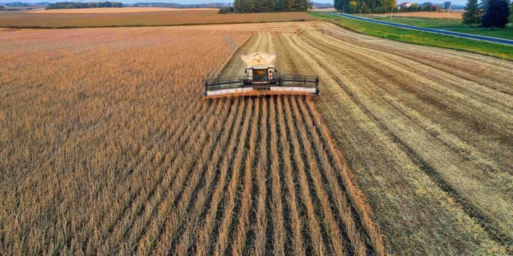 Zimbabwe Begins Compensation Payments to Former Farm Owners