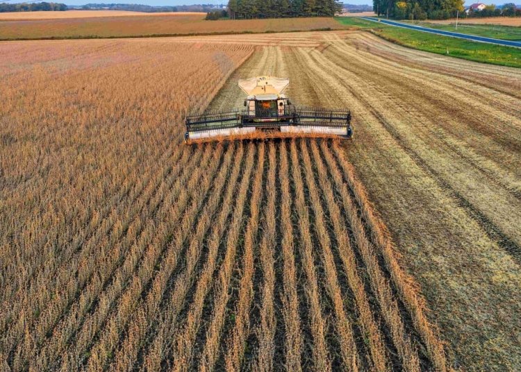 Zimbabwe Begins Compensation Payments to Former Farm Owners