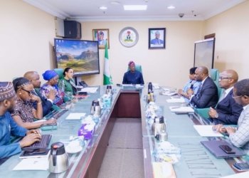 Nigeria Launches $500 Million Climate Finance Platform