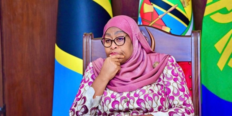 Tanzania’s Foreign Currency Ban Sparks Debate, Offers Lessons for Africa