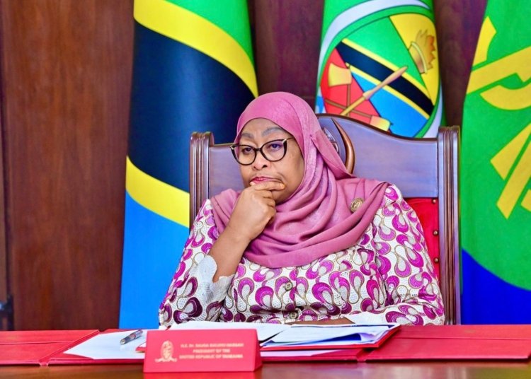 Tanzania’s Foreign Currency Ban Sparks Debate, Offers Lessons for Africa