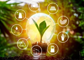 Women's Fight for Equity in Africa's Energy Sector