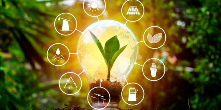 Women's Fight for Equity in Africa's Energy Sector