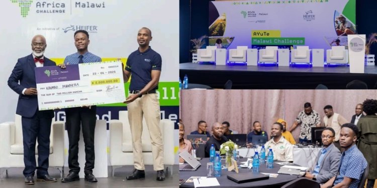 Malawi Innovator Wins AYuTe Africa Challenge Award for Agri-Tech Prototype
