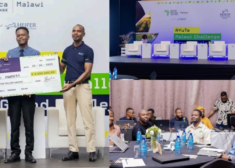 Malawi Innovator Wins AYuTe Africa Challenge Award for Agri-Tech Prototype