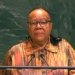 Nelson Mandela Was ‘Good Troublemaker’ World Needs, Dr Pandor Says