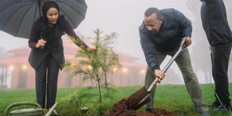 Ethiopia’s Green Legacy Environmental Movement Reaches New Heights