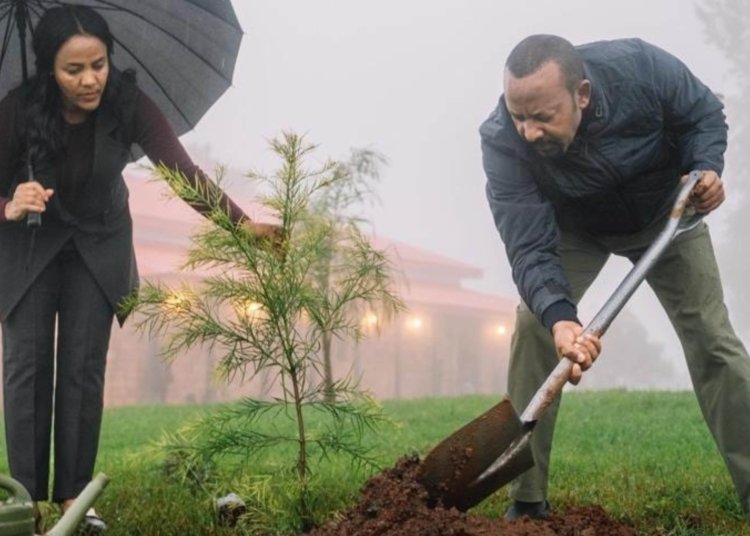Ethiopia’s Green Legacy Environmental Movement Reaches New Heights