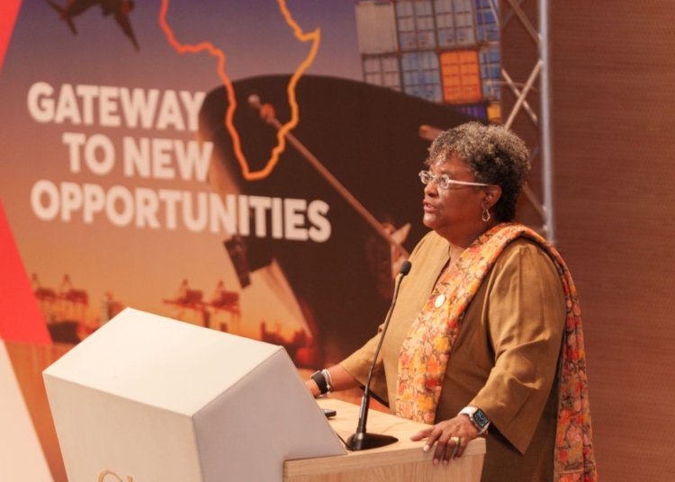 Global Africa Diaspora Day Marks Call for Unity