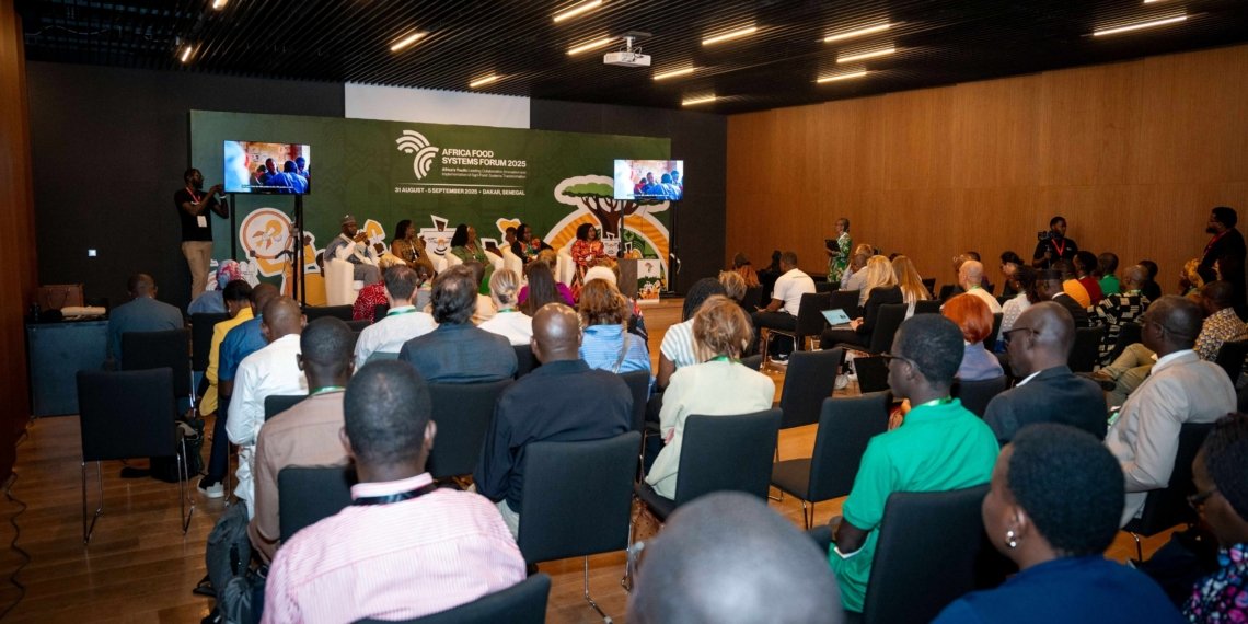 Africa’s Food Systems Need Systemic Change, Not Piecemeal Fixes