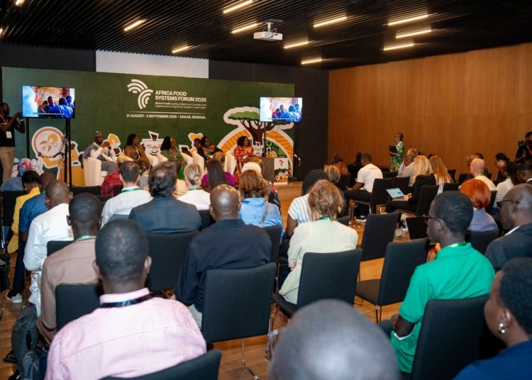 Africa’s Food Systems Need Systemic Change, Not Piecemeal Fixes