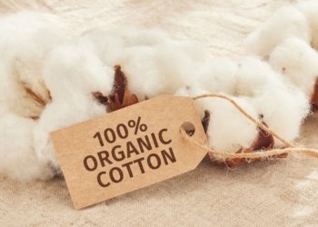 World Cotton Day Highlights Africa’s Push for Sustainable Trade