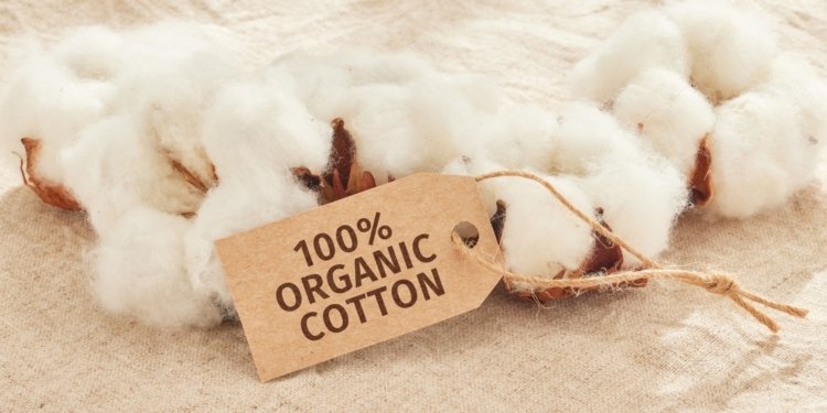 World Cotton Day Highlights Africa’s Push for Sustainable Trade