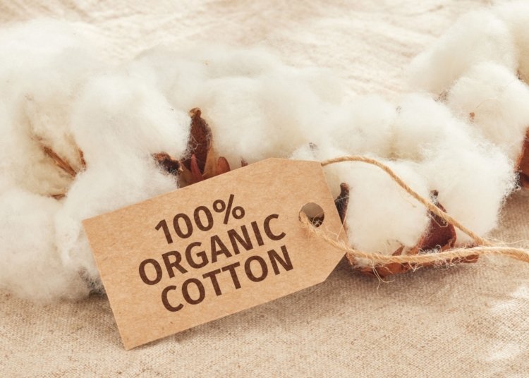 World Cotton Day Highlights Africa’s Push for Sustainable Trade
