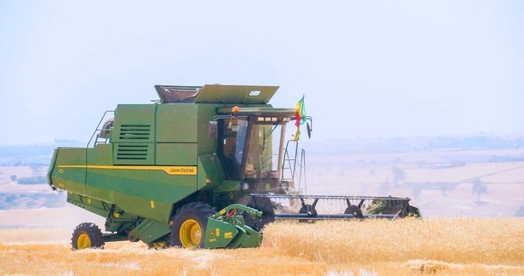 Ethiopia Hits Record Wheat Harvest in Bid to Cut Imports