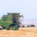 Ethiopia Hits Record Wheat Harvest in Bid to Cut Imports