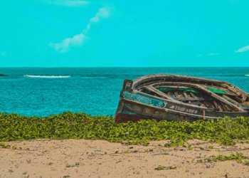 Kenya Secures Funds to Protect Reefs, Grow Coastal Economy