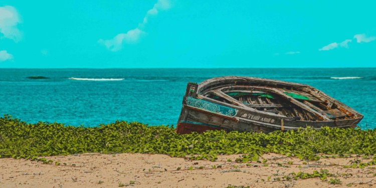 Kenya Secures Funds to Protect Reefs, Grow Coastal Economy