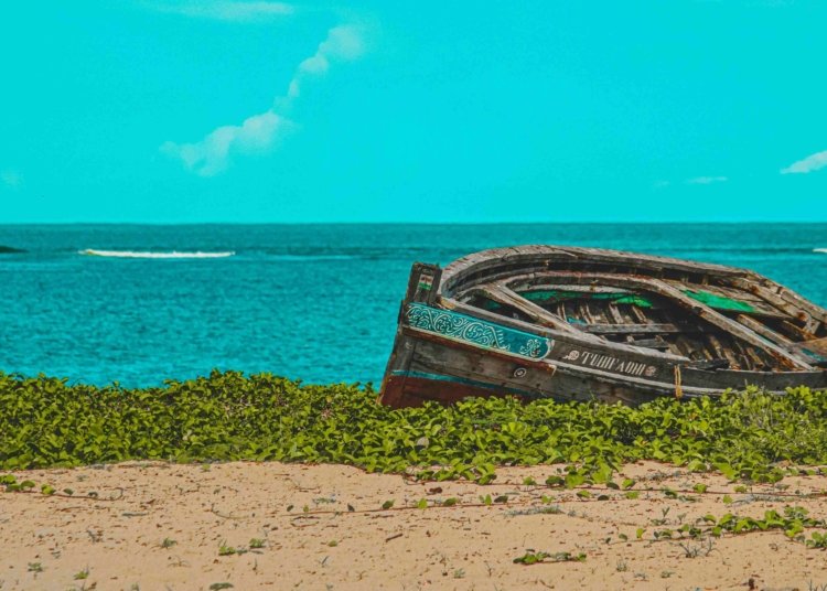 Kenya Secures Funds to Protect Reefs, Grow Coastal Economy