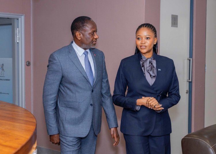 Côte d’Ivoire Studies Botswana Mining Model to Strengthen Resource Governance